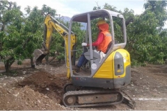 Imagen21